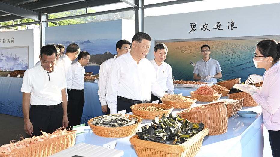 习近平总书记和漳州的故事