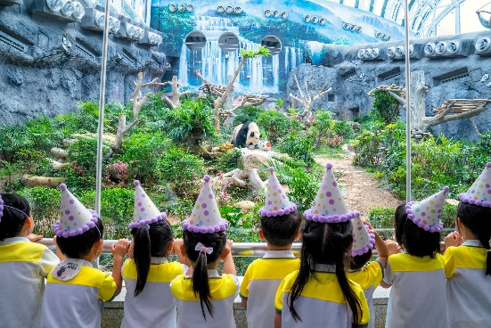图为澳门孩子们为大熊猫“健健”、“康康”献唱生日歌。澳门特区政府市政署供图