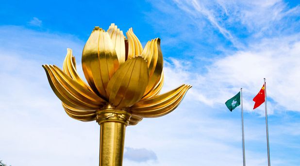 傅自应：盛世莲花别样红——庆祝澳门回归祖国20周年